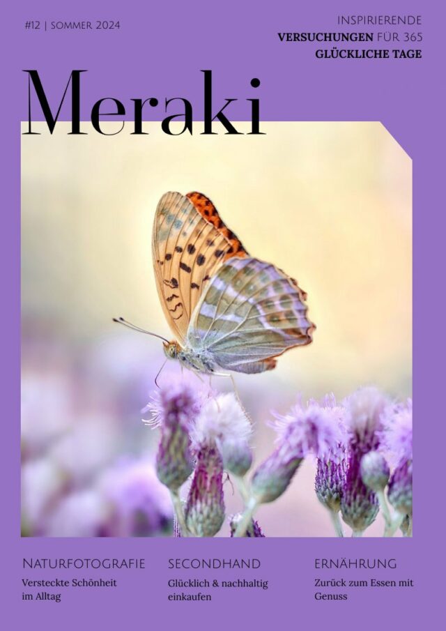 Meraki #12 Sommer 2024 Cover